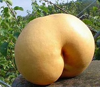 Nature Is Sexy